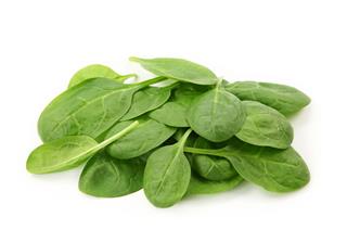 Baby Spinach Leaves