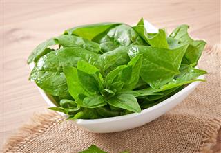Washed Spinach Leaves In Bowl