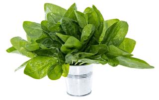 Portion Of Spinach