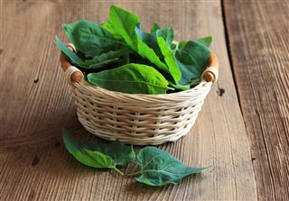 Fresh Spinach Leaves