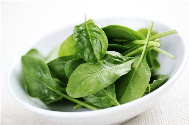 Baby Spinach In Bowl