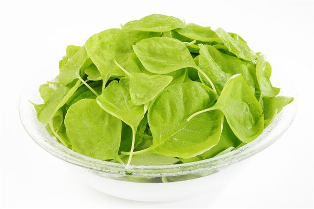 Spinach In Bowl
