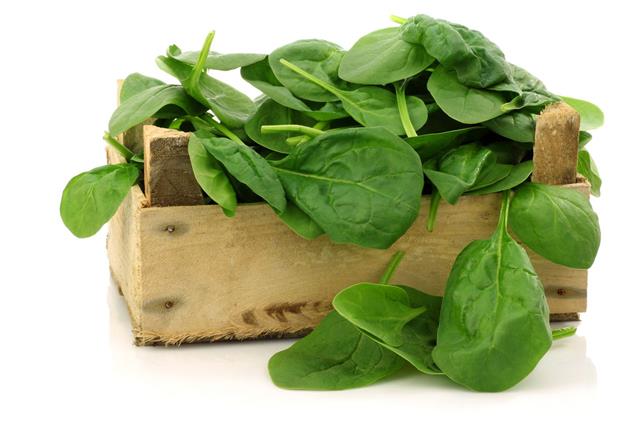 Freshly Harvested Spinach Leaves