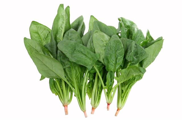 Bunch Of Spinach Leaves