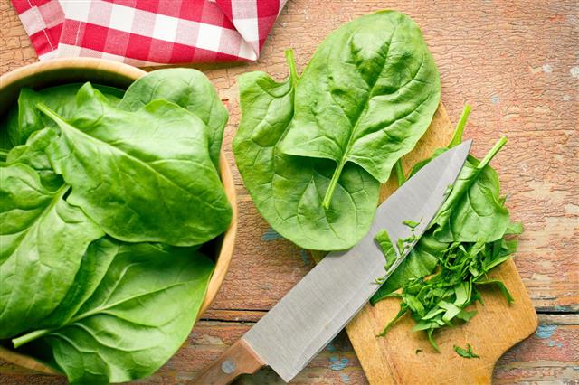 Chopped Spinach Leaves