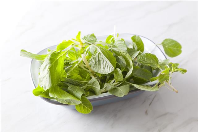 Spinach Leaves In Bowl