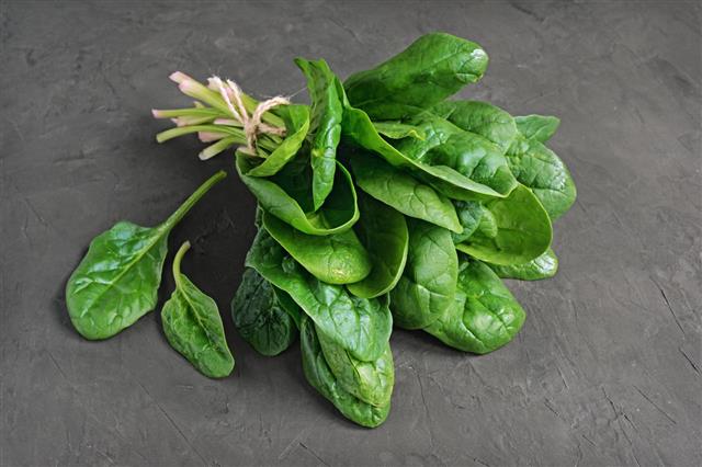 Bunch Of Fresh Spinach