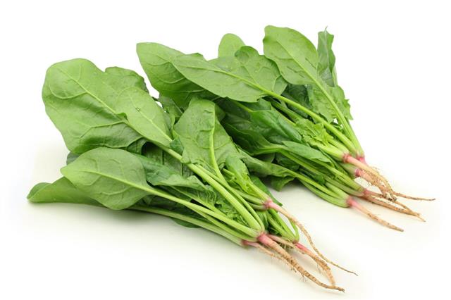Spinach On White Background