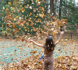 Girl Playing With Fall Leaves