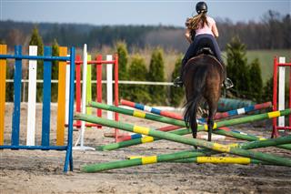 Young Woman Show Jumping With Horse