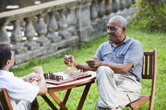Men Playing Chess In Park
