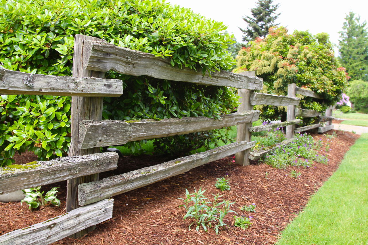 wooden fence designs that lend a rustic look to your