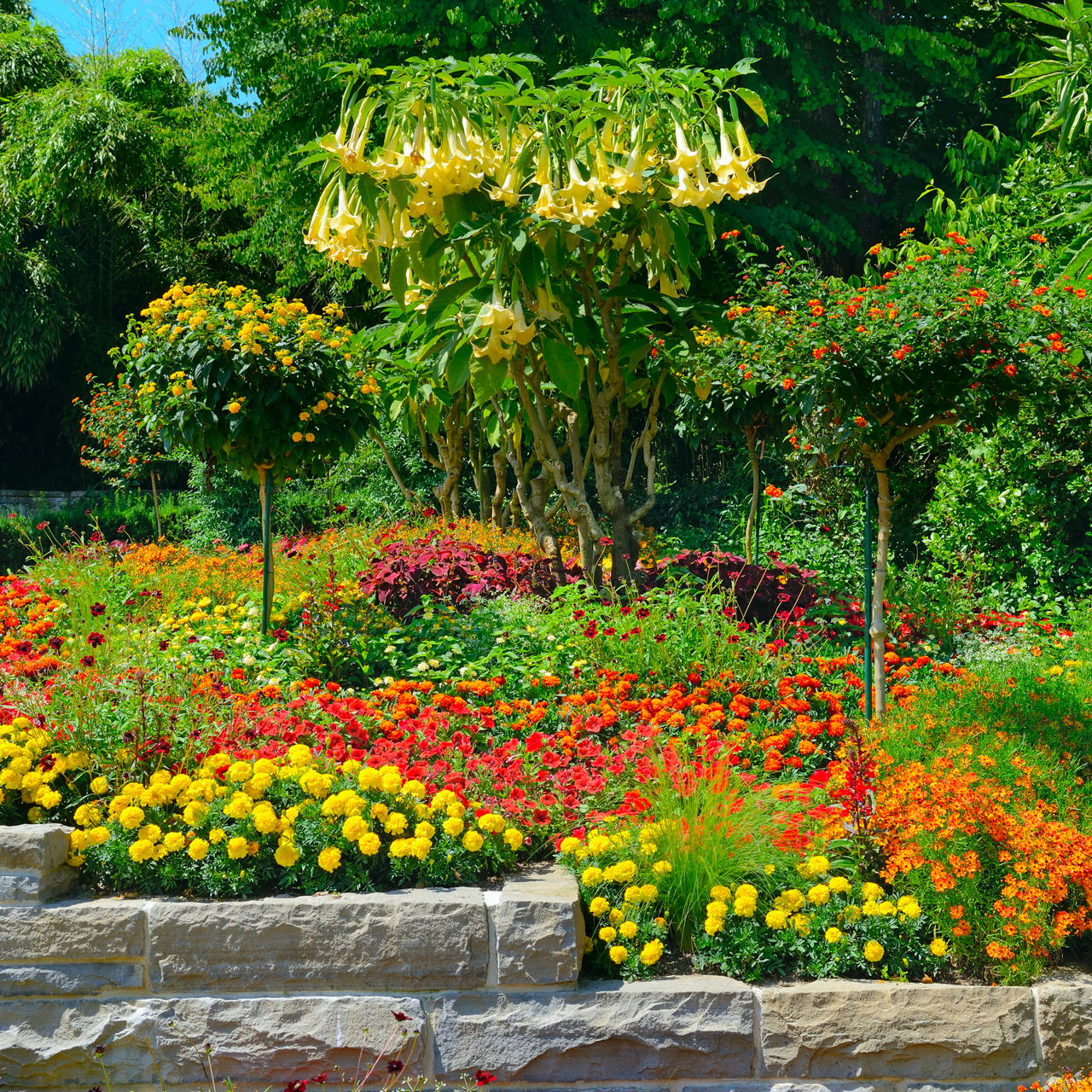 Colorful Flower Bed Border: Attractive Flower Bed Edging ...