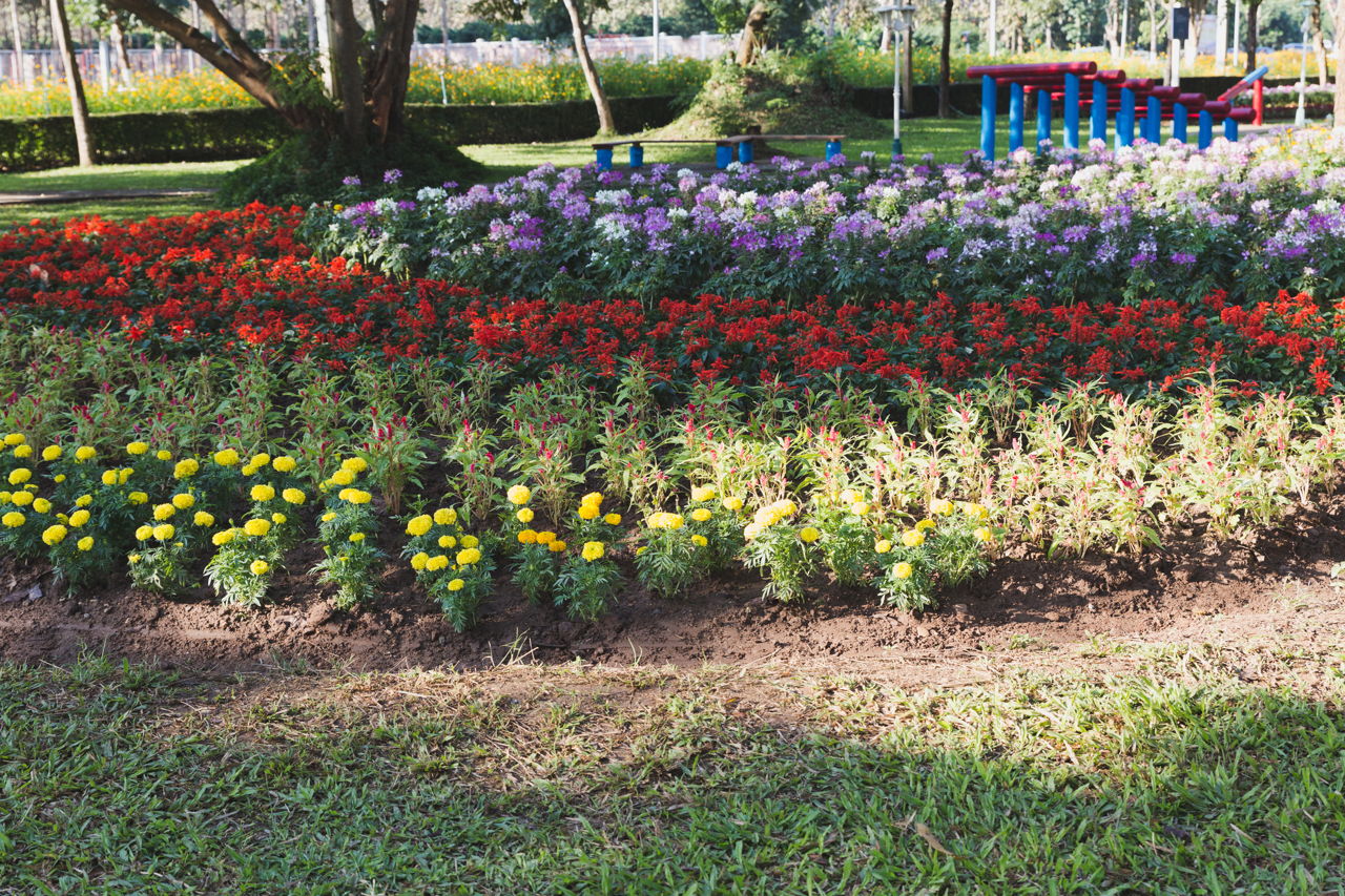 Flower Garden Layout Design Ideas Thatll Make Your Neighbors Jealous
