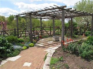 Crushed Pea Gravel Path And Trellis