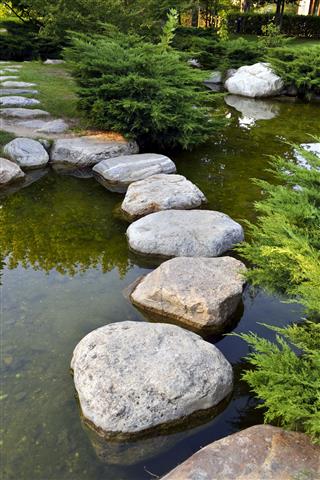 Natures Finest Stepping Stones
