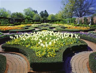 Flower Bed With Spring Flowers