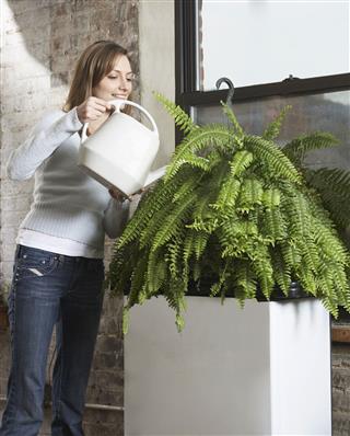 Woman Watering Houseplant