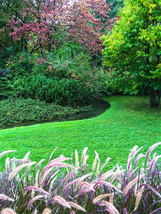 Garden With Green Lawn