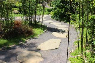 Japanese Garden Natural Stepping Stones