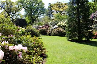 Landscaped Garden With Flowerbed