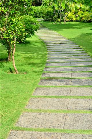 Stone Pathway Into The Tropical Garden