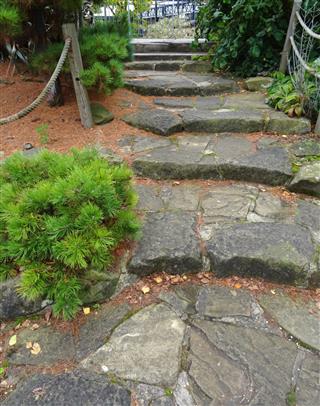 Stone Steps Leading To Pathway