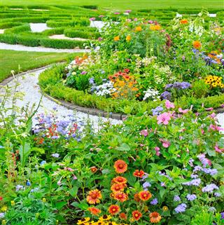 Flowerbed And Green Lawn