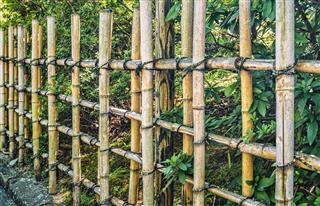 Japanese Traditional Bamboo Fence