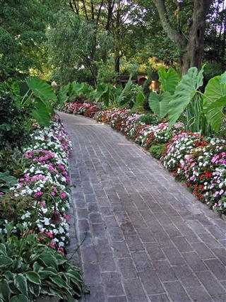 Pathway Through The Garden