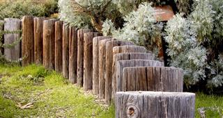 Wooden Fence And Garden