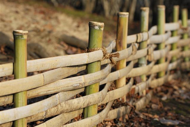 Install a Bamboo Privacy Fence And Give Your Garden a Rustic Look