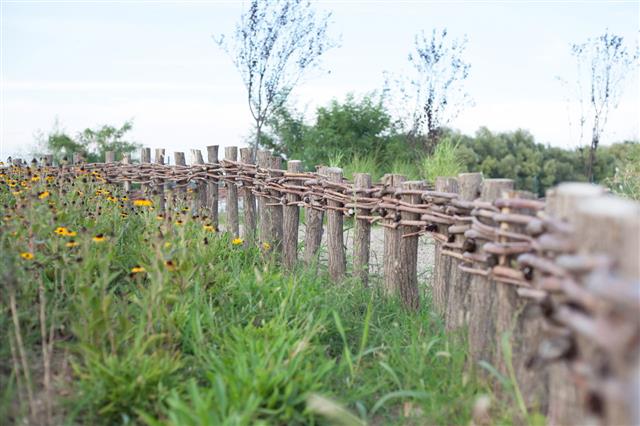 Thatched Vine Fence