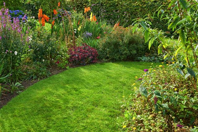 Flowerbed And Lawn