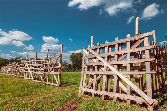 Wooden Rustic Fence