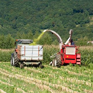 Machine for harvesting corn