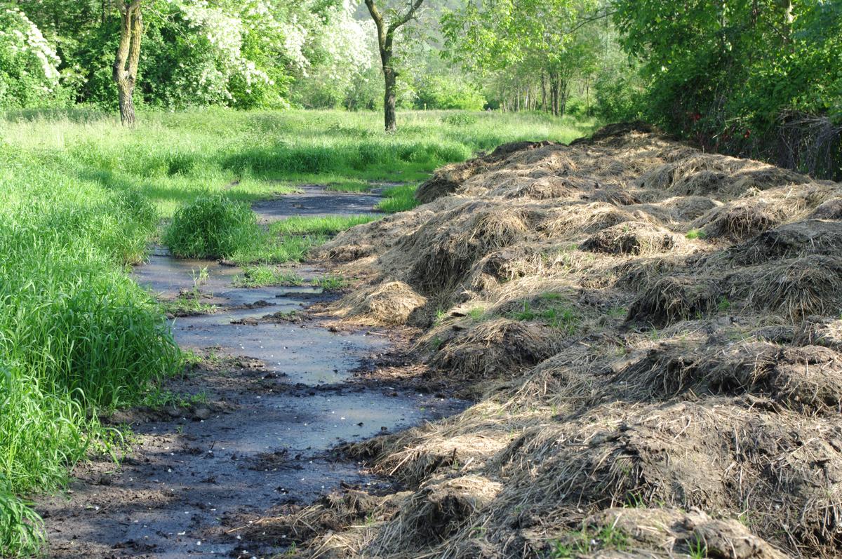 How to Prevent Soil Pollution