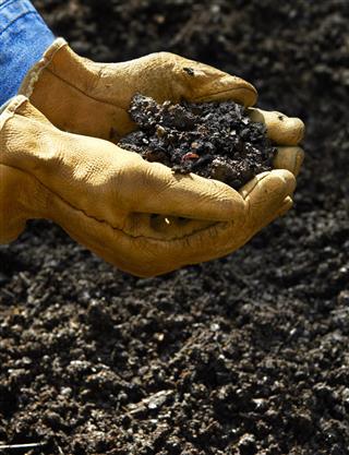 Home Composting, Hand holding compost soil