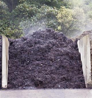 Steaming pile of compost