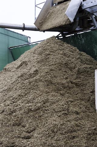Compost Processing