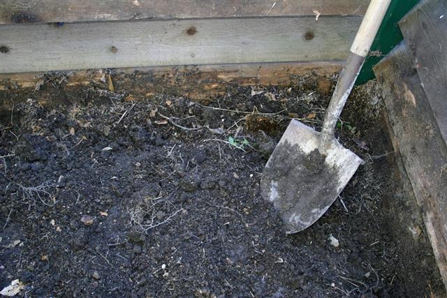 Shovel with Compost