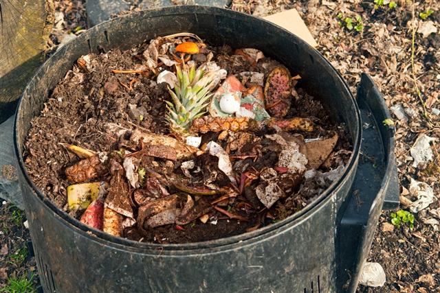 Filled Compost Container