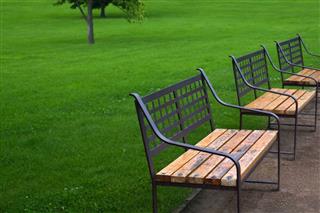 Three Benches In Park