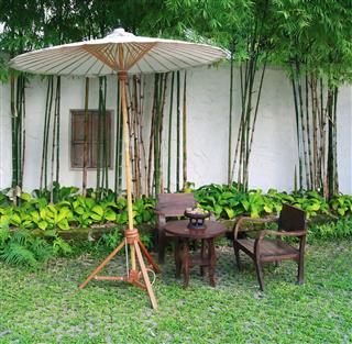 Umbrella In Bamboo Garden