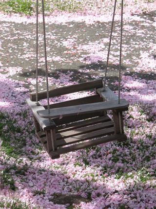 Swing Surrounded By Petals