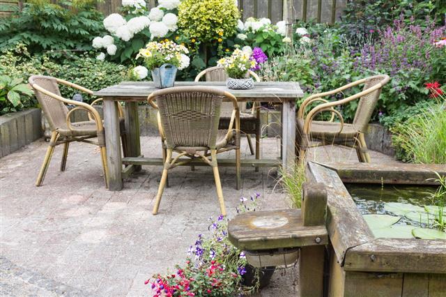 Chairs and Flowers in the Paved Backyard
