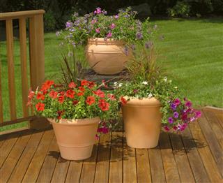 Flowering planters on wood deck