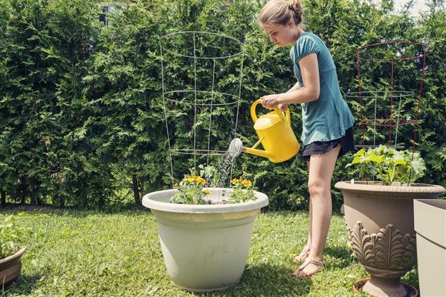 girl watering potted plants