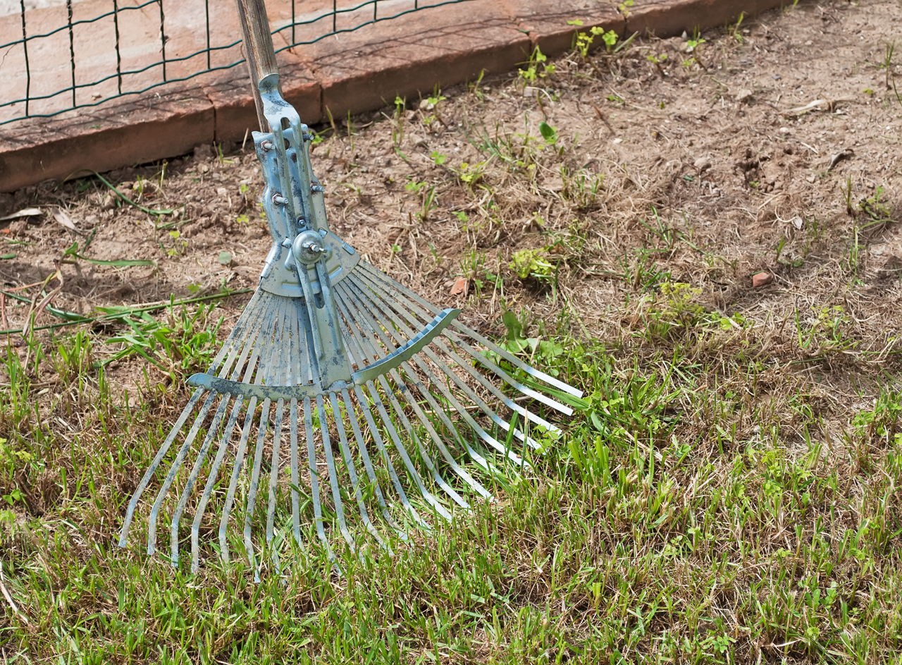 Learn How to Use a Dethatching Rake to Make Your Lawn Look Swish ...