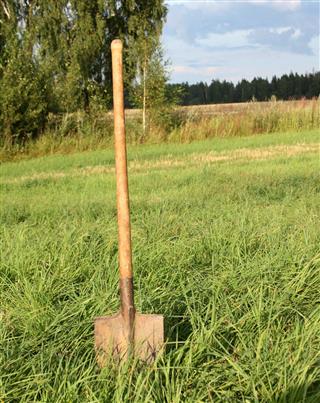 Shovel in green field